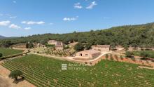 Château avec domaine viticole