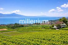 Appartement d’exception avec terrasse et vue panoramique sur le lac