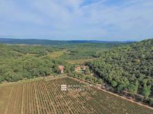 Domaine viticole d’Exception 11 chambres  - Aix-en-Provence