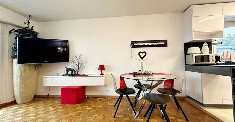 Appartement meublé 2.5 pièces
