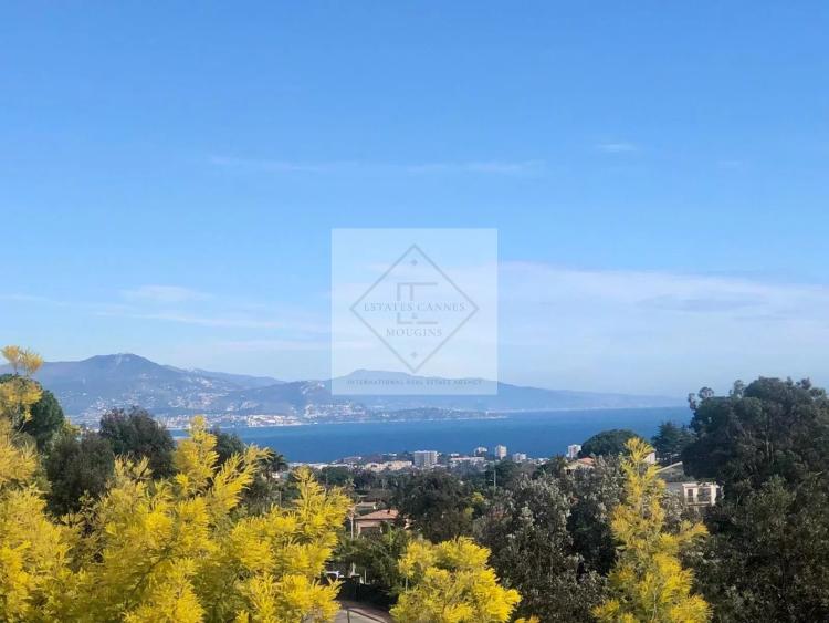 Exceptionnelle villa - vue mer - Cannes