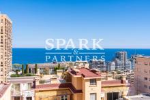 Monaco - Monte-Carlo - Superbe appartement 3 pièces