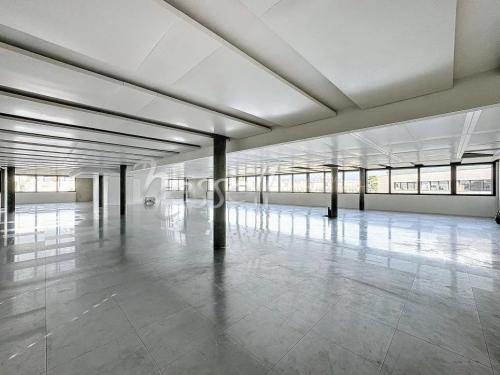 Magnifique surface de bureaux