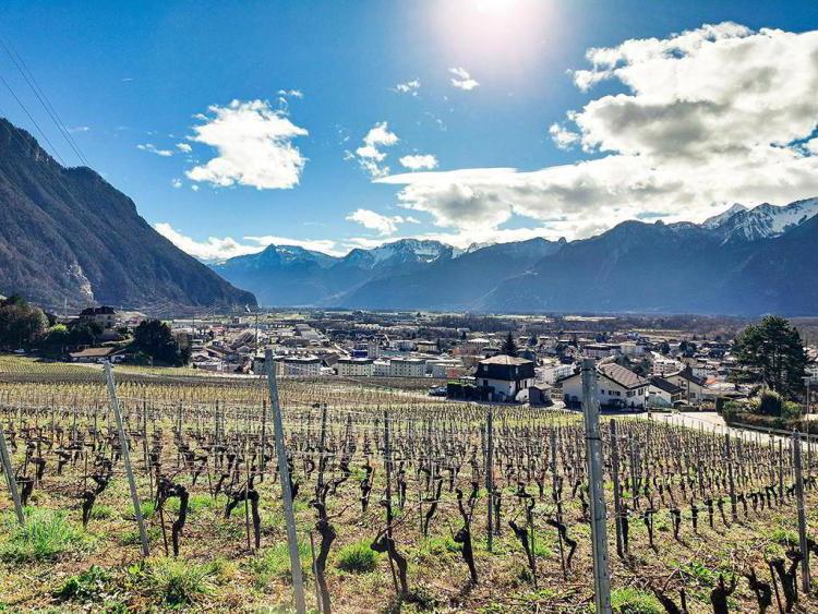 Apartment for sale, 1844 (Villeneuve, Switzerland)