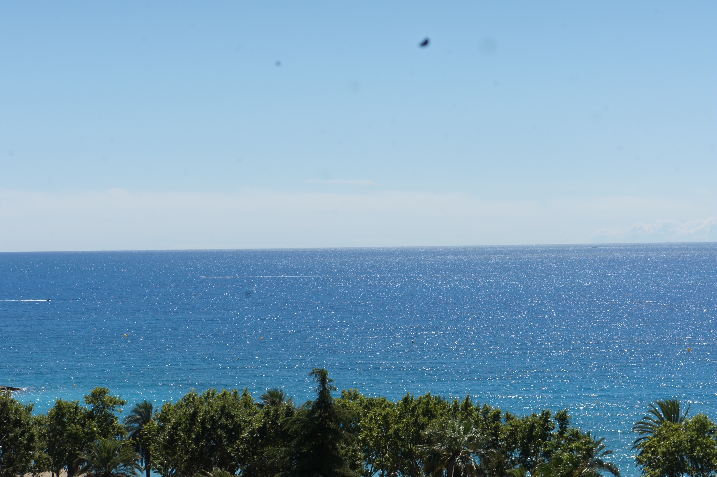 CcCqV_dsc05773-1775665537.jpg