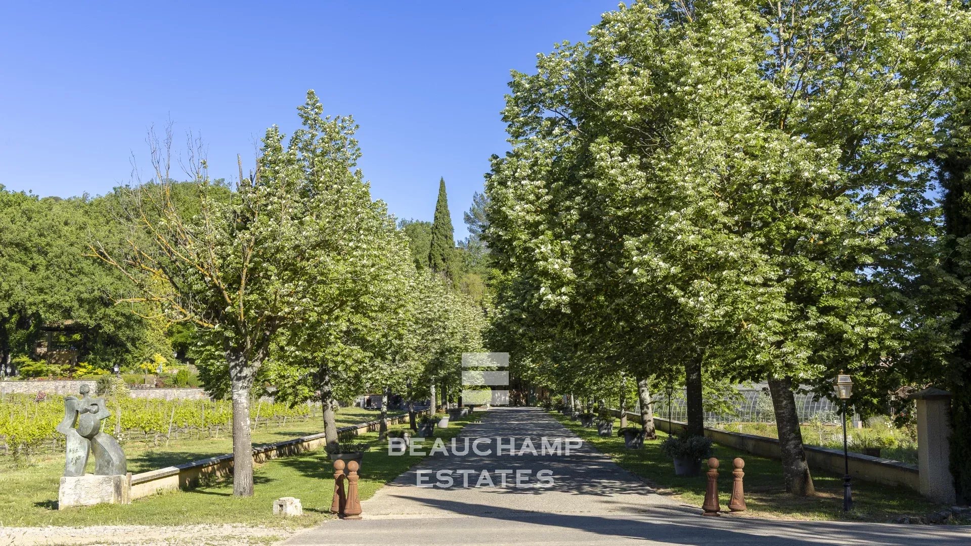 Domaine viticole d’Exception 11 chambres  - Aix-en-Provence