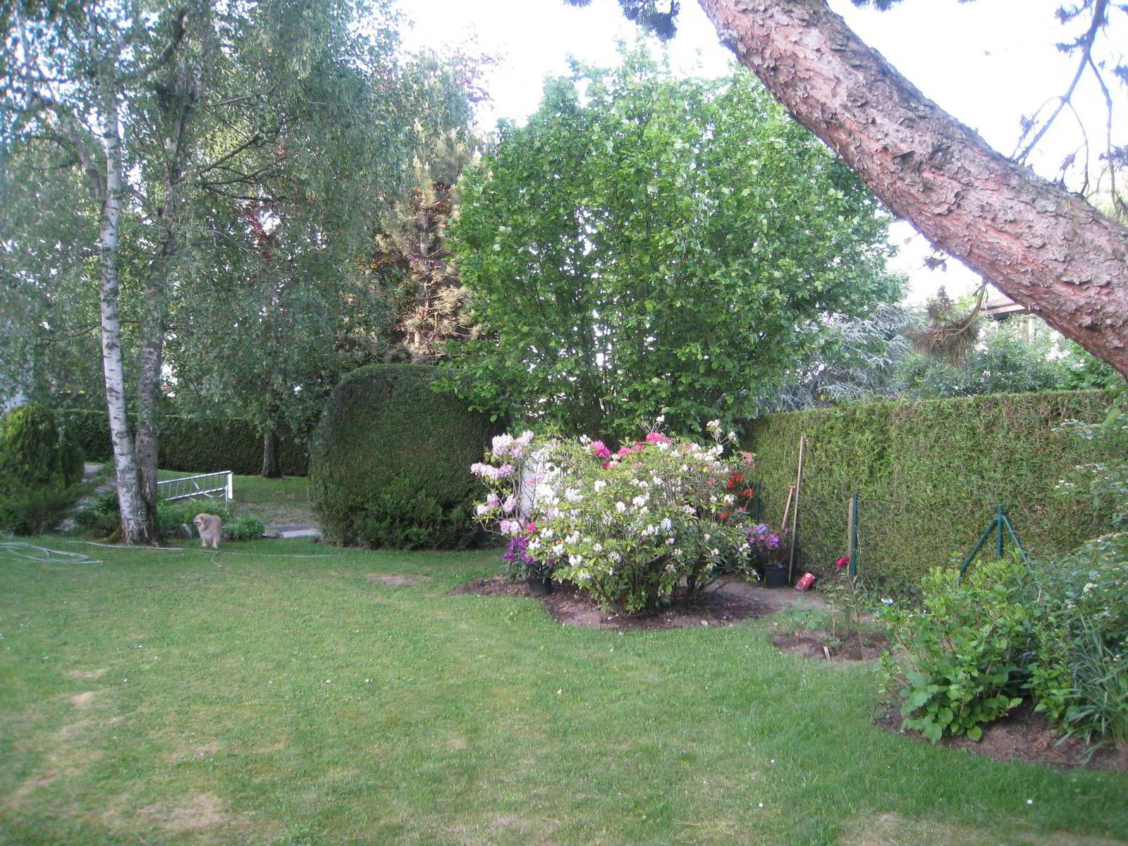Villa de charme à Commugny