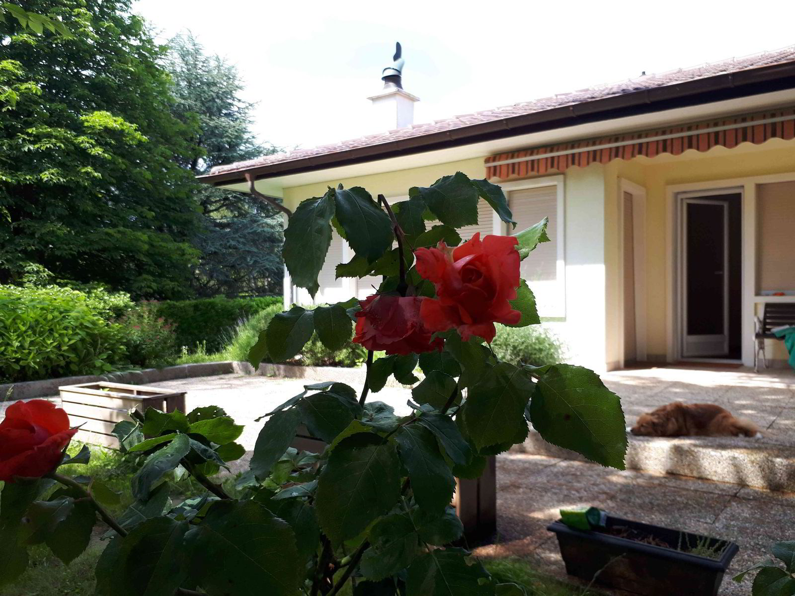 Villa de charme à Commugny