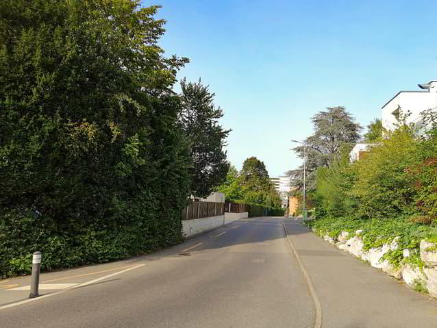 LE GRAND-SACONNEX - VILLA DE STANDING - ELEGANCE ET SERENITE