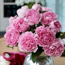 FLEURISTE OU TOUT AUTRE ACTIVITE