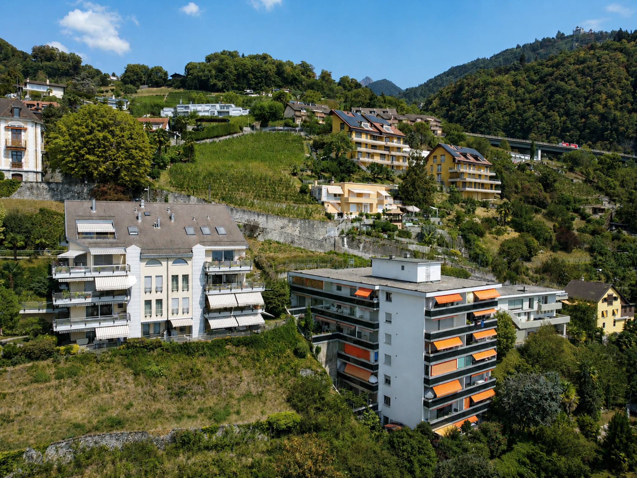Charmant 2.5 pièces avec grande terrasse et vue sur le lac 