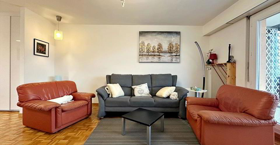 Appartement meublé 2.5 pièces