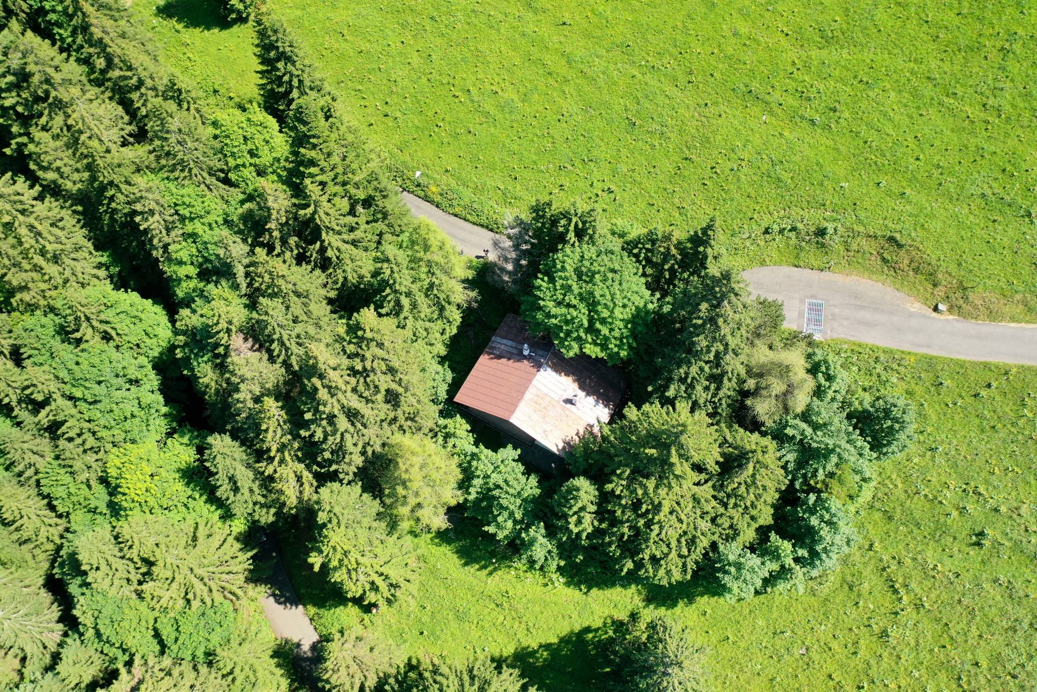 Véritable Havre de Paix ! Chalet de 3.5 pièces proche du Col de Jaman