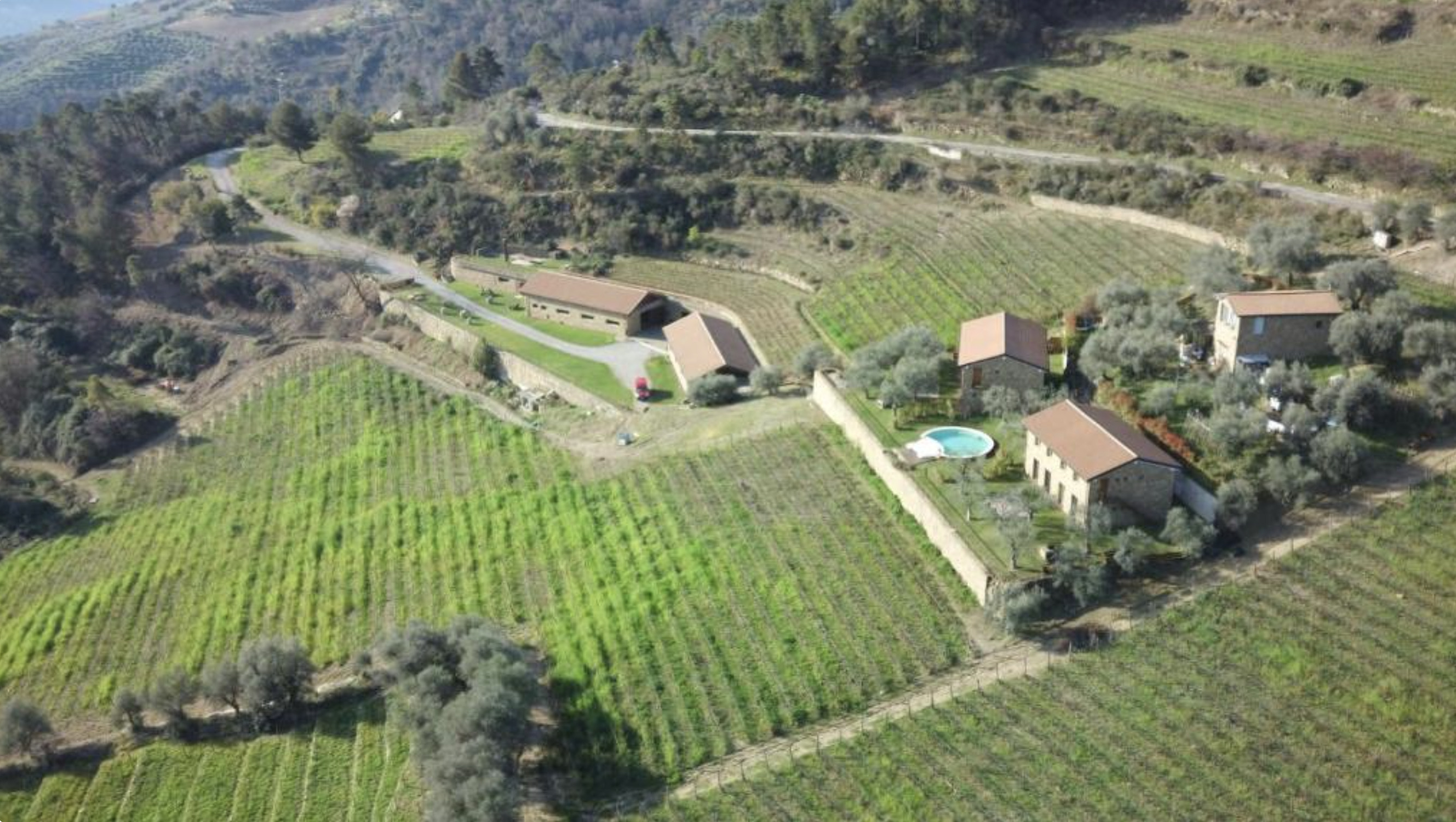 MAGNIFIQUE VIGNOBLE PROCHE DE MONACO