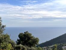 ÈZE - TERRAIN CONSTRUCTIBLE - 2000m2 - AVEC PC PURGÉ - 600M2